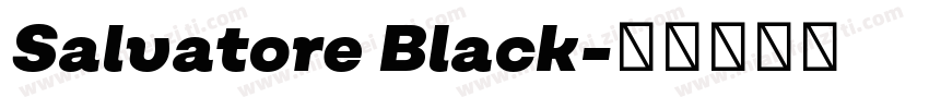 Salvatore Black字体转换